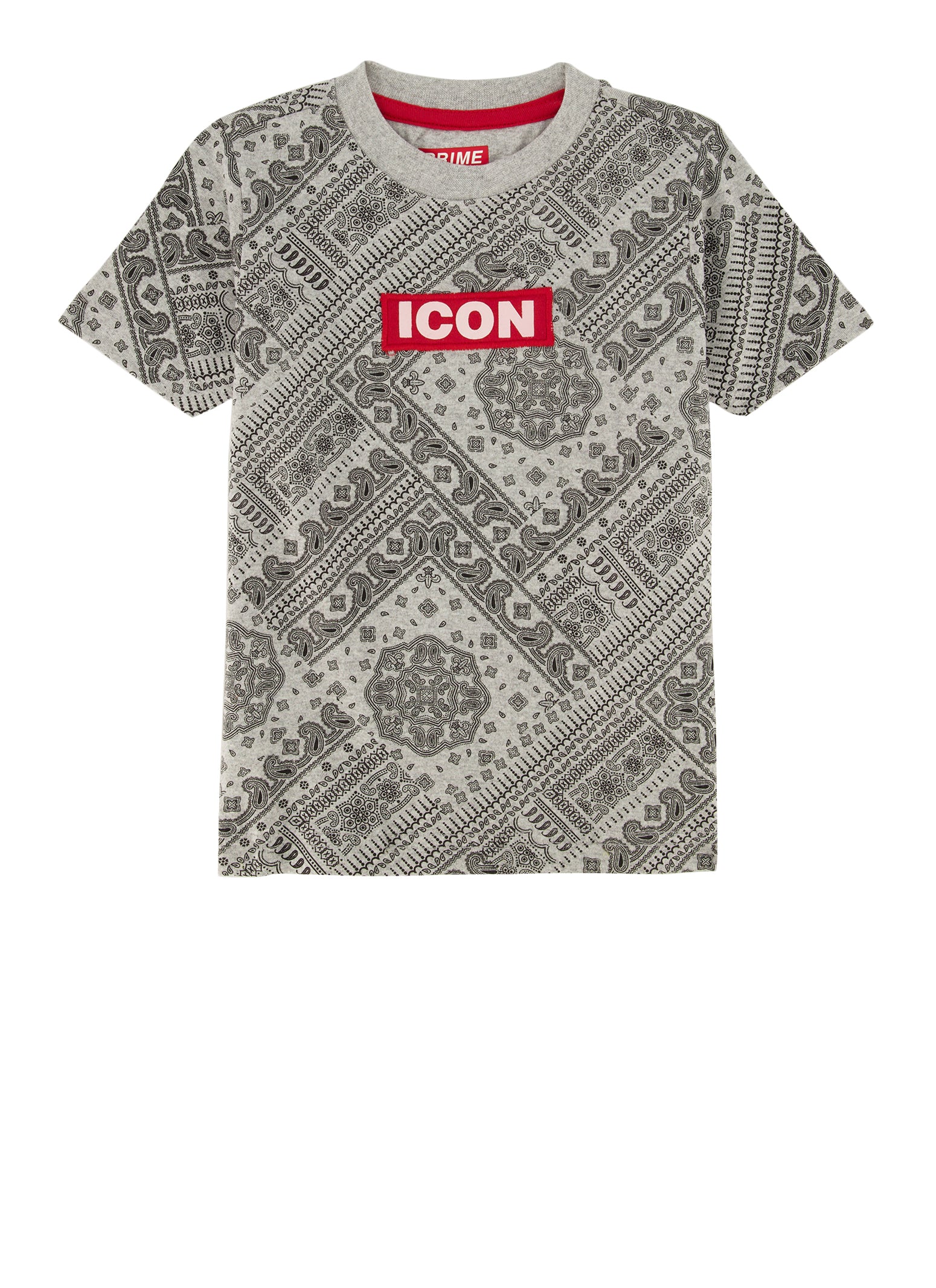 Bandana Print T shirt with Bandana Print around Collar