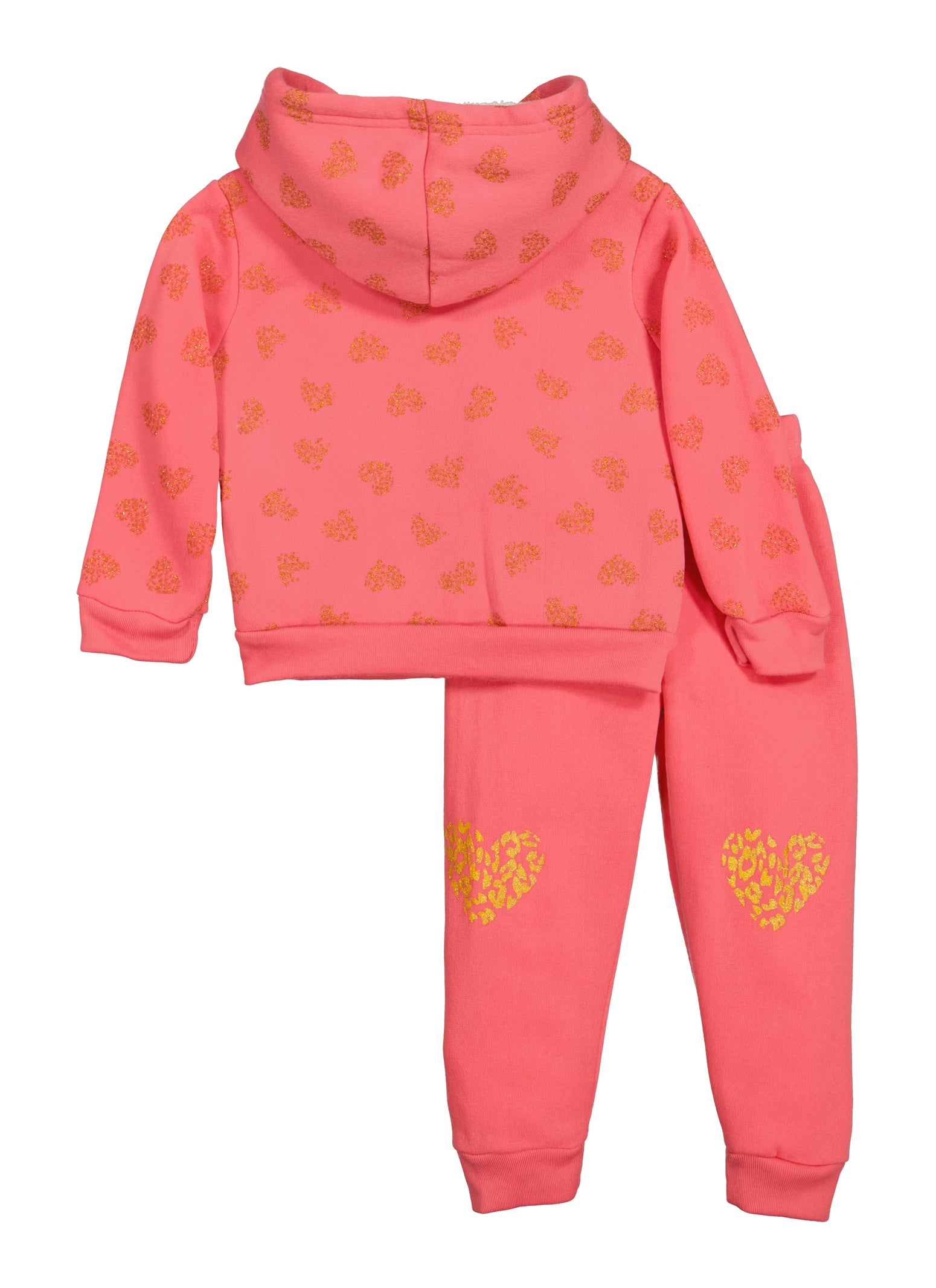 Sherpa lined clearance hoodie toddler girl